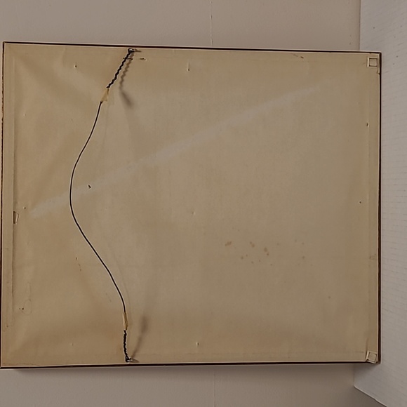 J. Gould and HC Richter Hummingbirds Aglaeactics Pamela Litho - Picture 14 of 16